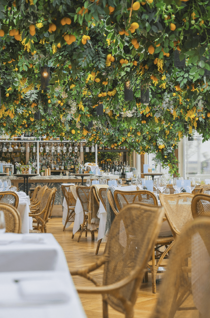 alto san carlo